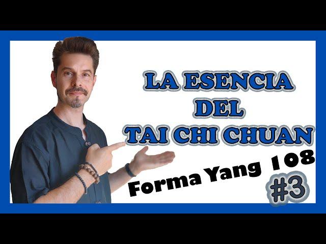 Yang TAI CHI 108 TUTORIAL  Guía DEFINITIVA 3 #yang #taijiquan