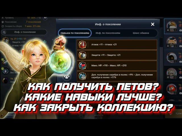 ВСЕ О ПИТОМЦАХ - BLACK DESERT MOBILE