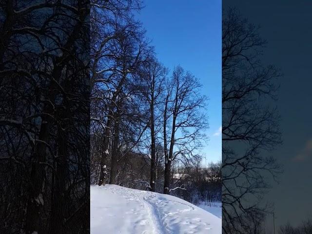 БЭЛЬ-"грудинка домашняя ..!!"