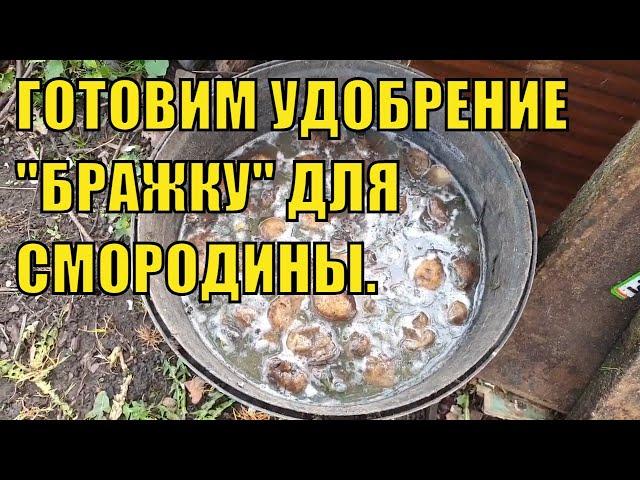 Супер Удобрение Для Смородины.