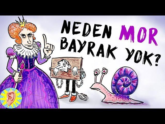 Ülke Bayraklarında Neden Mor Renk Kullanılmaz?