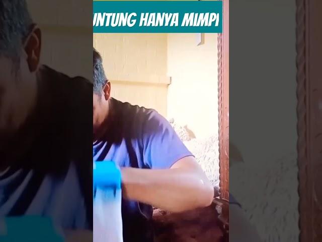 ternyata hanya mimpi