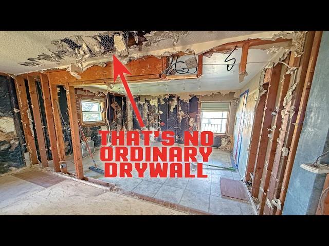 Is That Load-Bearing Chicken Wire!?