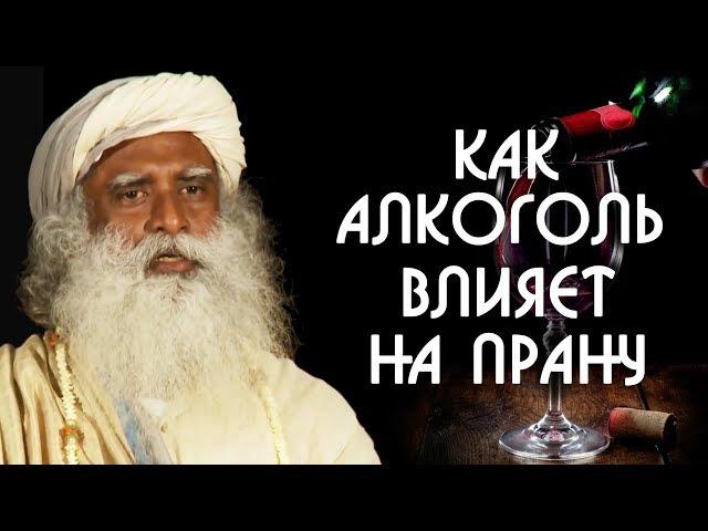 Как употребление спиртного алкоголя влияет на прану? Садхгуру на Русском