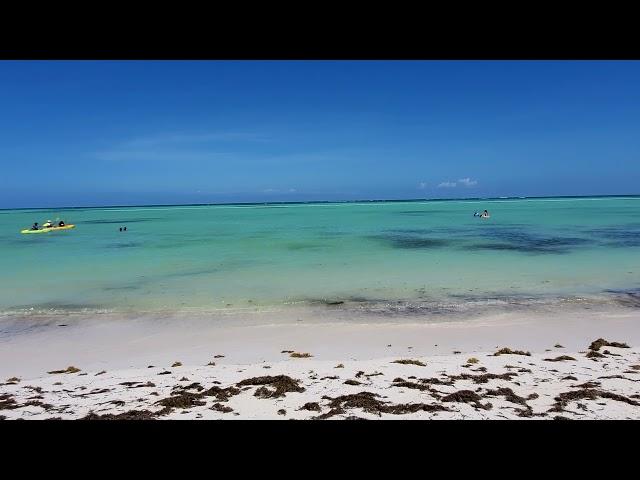 Hyatt Ziva Zilara Cap Cana - Beach Conditions