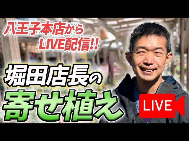 《生配信！》11月1日 堀田店長の寄せ植えをLIVEにてご紹介！八王子本店からお届けします！