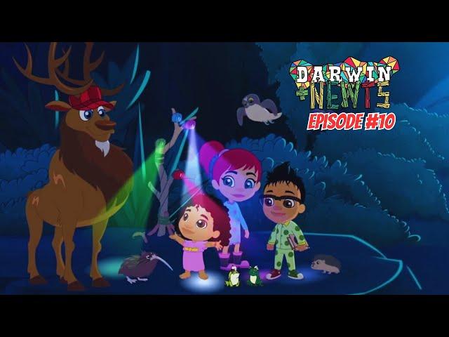 Darwin और Newts ने जाना Nocturnal animals के बारे में  | Darwin & Newts | Full Episode 00