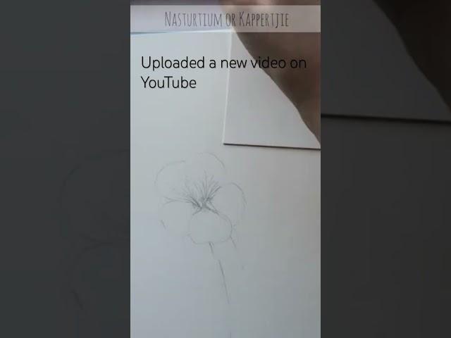 Get a free line drawing on Patreon and watch full video on YouTube #watercolor #beautifulflowers