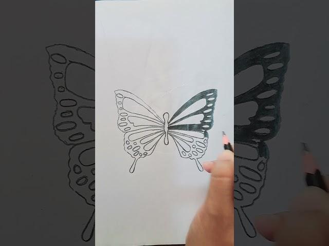 Butterfly sketch step by step  #nsm #butterfly #butterflyart #art#drawingideas