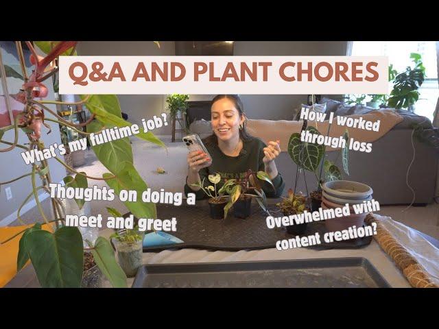 Let's do plant chores while answering your planty and personal questions