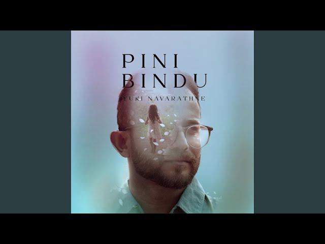 Pini Bindu