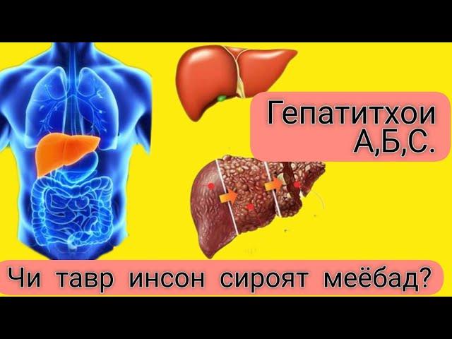 НАМУДХОИ ГЕПАТИТ. ЗАРАРИ ОНҲО.#гепатит #хаётисолимбо