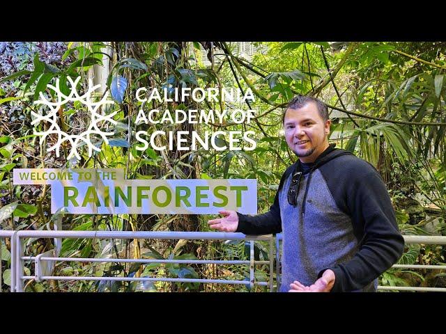 San Francisco's California Academy of Sciences/FULL WALK THRU (4K)