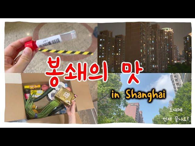 상하이 | 봉쇄의맛 | 무기한 강제 봉쇄중  | 도대체 언제 내보내줘요?