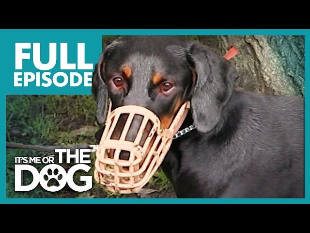 The Demonic Doberman: Harvey | Full Episode | It's Me or the Dog