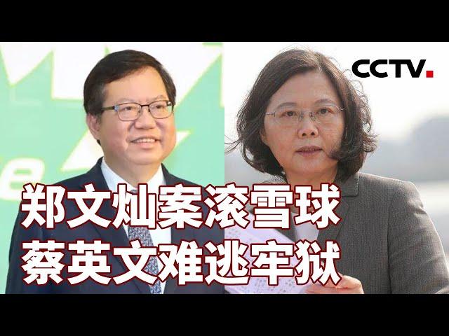 郑文灿案滚雪球 蔡英文难逃牢狱 20240714 | CCTV中文《海峡两岸》