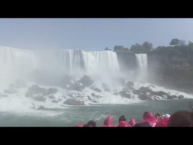 Поїхали в Торонто. Niagara #канада #виннипег #cuet #торонто #відпочинок