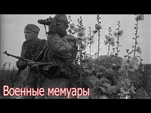 Они кричали за родину за Сталина но их расстреляли! Военная история Кузнецова Евгения Васильевича.