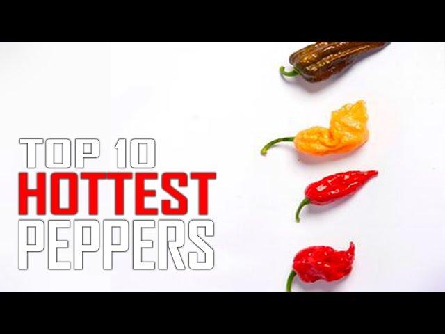 Top 10 World's Hottest Peppers in the WORLD!  Is Ghost Pepper #1?