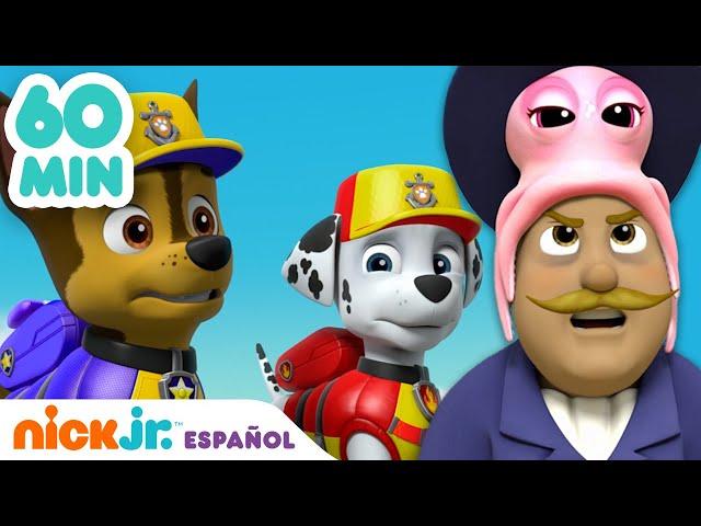 PAW Patrol | ¡1 hora de los MEJORES rescates de la Patrulla Marina!| Nick Jr. en Español