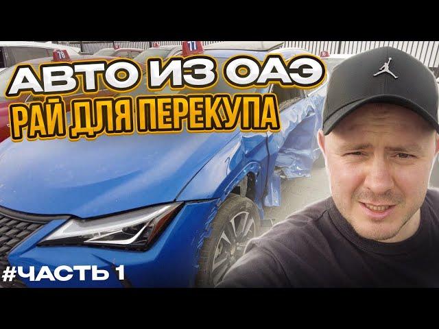 Авто из ОАЭ дешевле? Изучаем авторынок в Дубае / Аукционы / Битье / Новые авто. Рай для перекупа