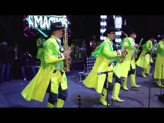 Banda Machos HD - San Antonio Sija