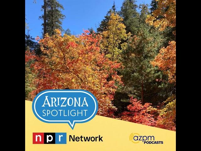 Autumn among the aspens