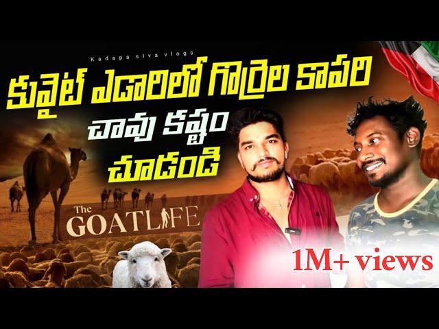 ఎడారిలో గొర్రెల కాపరి చావు కష్టం చుడండి||Desert life in kuwait||The goat real life#goatlife#kuwait