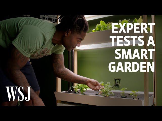 Can an Indoor Smart Garden Beat Outdoor Gardening? We Tested It | WSJ