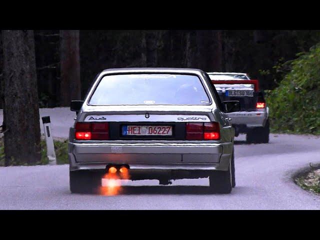 Audi 80 Quattro Warrior - 5Zyl Turbo Monster