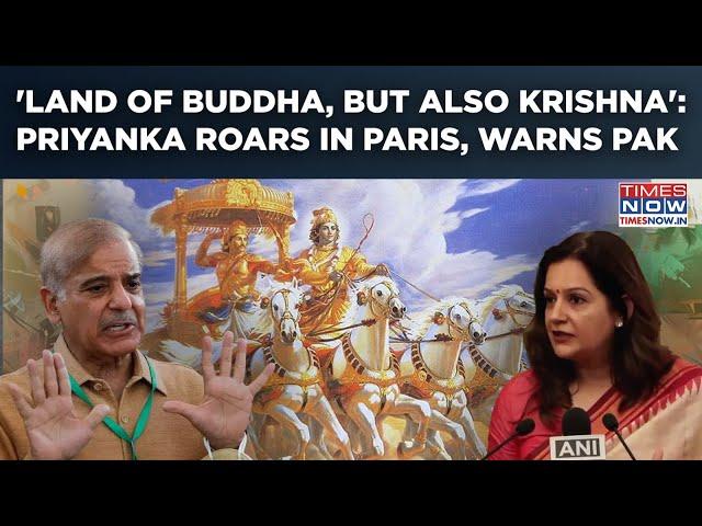 Watch Why Pakistan Reminded India 'Land Of Buddha, But Also Krishna' By Priyanka Chaturvedi In Paris