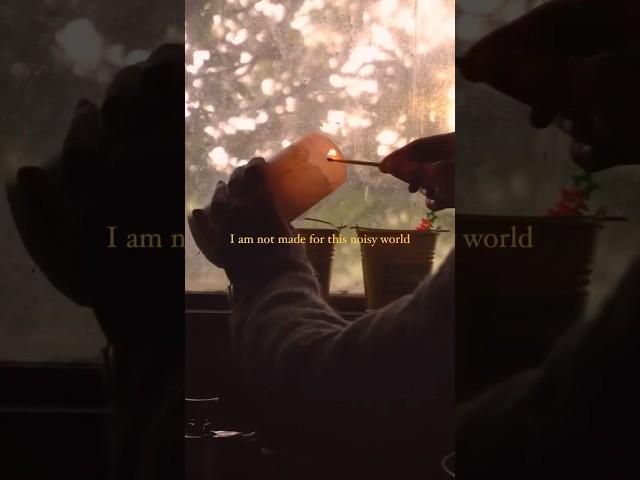 I am not made for this noisy world  #slowliving #simplelife