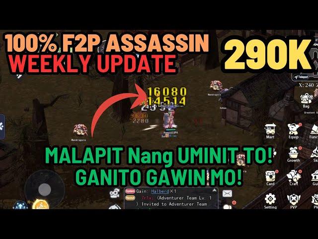 The Ragnarok F2P ASSASSIN Weekly Update : 290K FULL AGI+ASPD DPS PvE BUILD ALL YOU NEED TO KNOW