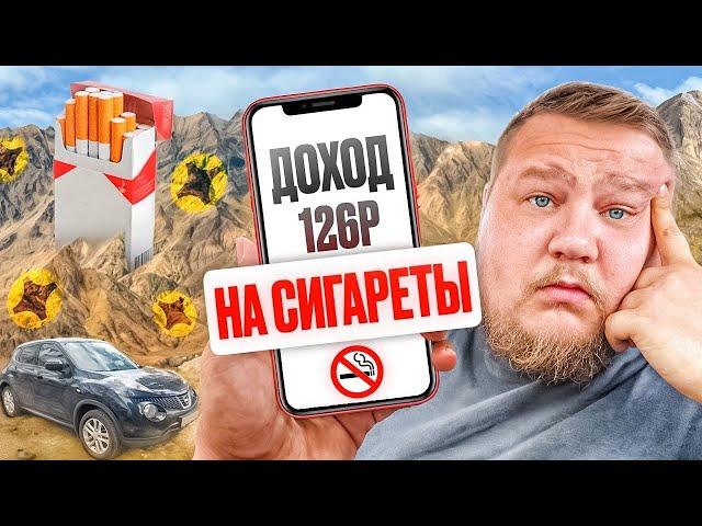 ЯНДЕКС ДОСТАВКА НА АВТО ЗА ПАЧКУ СИГАРЕТ / КАТАЮ В СУББОТУ ВЕЧЕРОМ ДОСТАВКУ В ЯНДЕКС ПРО