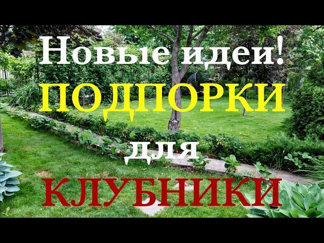 Новые ИДЕИ!  ПОДПОРКИ для КЛУБНИКИ / Своими руками