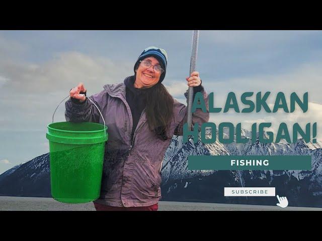 ALASKAN HOOLIGAN FISHING - Seven Mile Hill Sanctuary Alaskan Frontier Journey