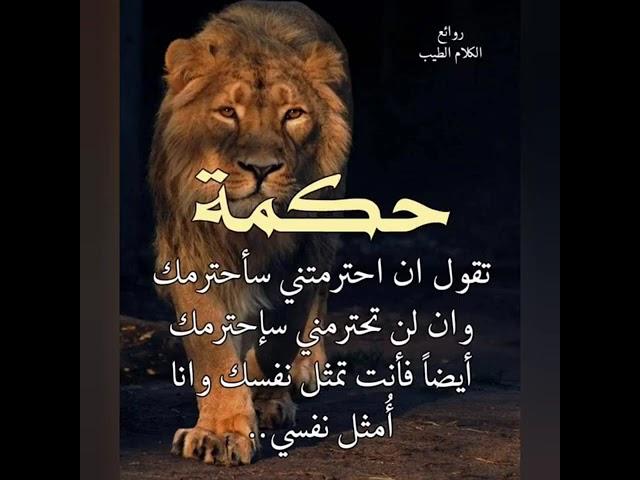 حكمة اليوم  حكم وامثال #قصص_واقعية #حكمة_اليوم #حكمه_في_قصه #حكمه #كلام #اشتراك_بالقناة