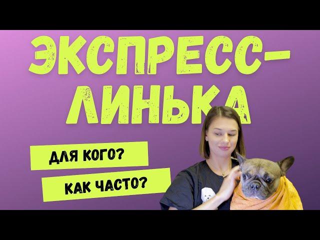 Экспресс линька для собак