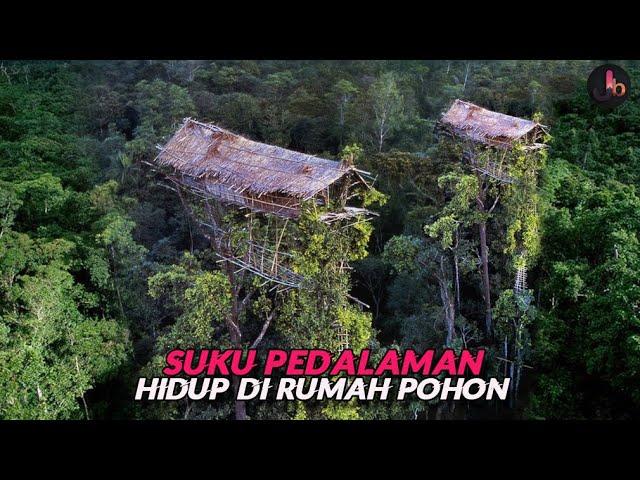 Korowai, Suku Yang Tinggal di Atas Pohon Hutan Belantara Papua