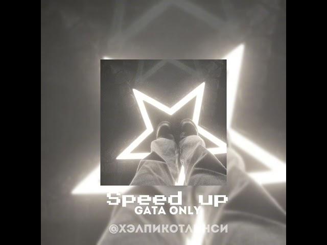 GATA ONLY-SPEED UP‍️