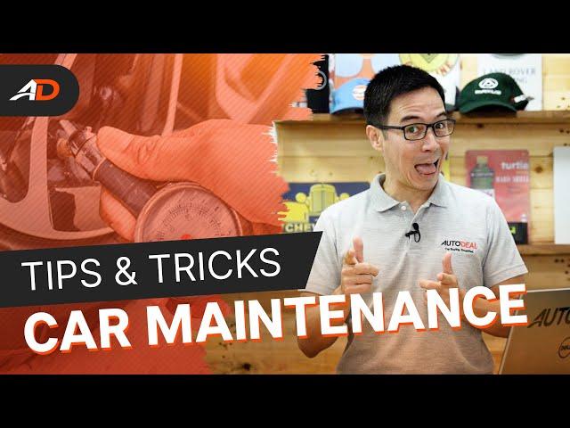 Top 10 Car Maintenance Tips & Tricks - Behind a Desk