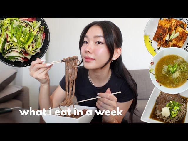 what i eat in a week (simple korean recipes)