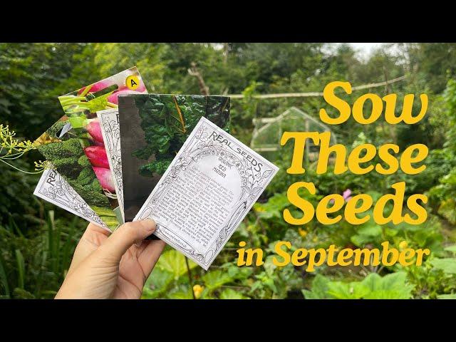 Seeds to Sow in September - Grow Homegrown Food Year Round