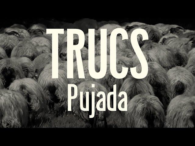 TRUCS - Pujada