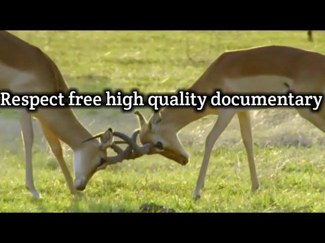 free high quality documentary channel