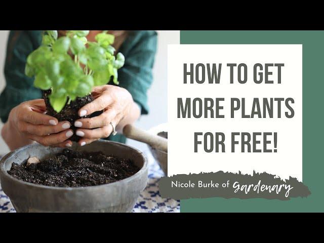 How to Get More Plants for Free!