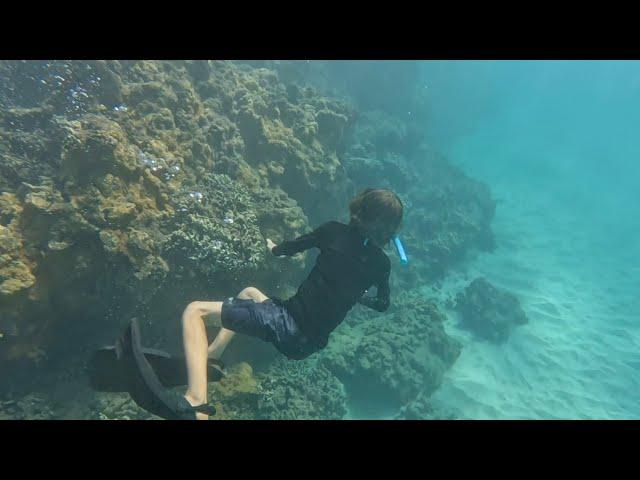 Olowalu Snorkeling Adventure in Maui