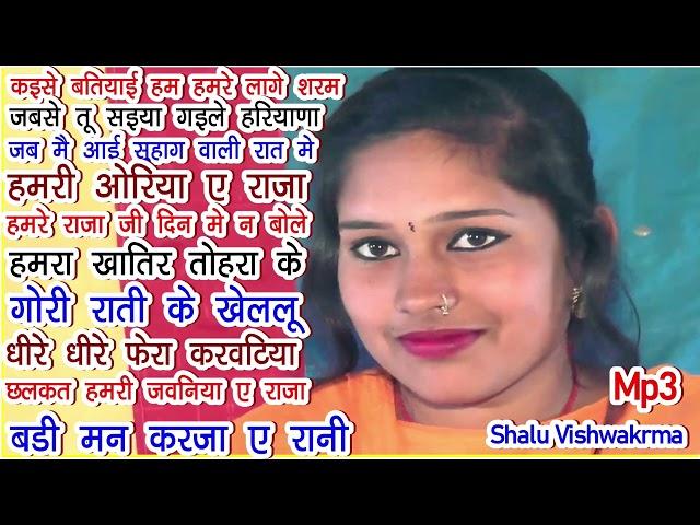 शालु विश्वकर्मा। Mp3 Song | Singar Neelu Sharma | Shalu Vishwakrma | Soni Vishwakrma |Pooja Cassette