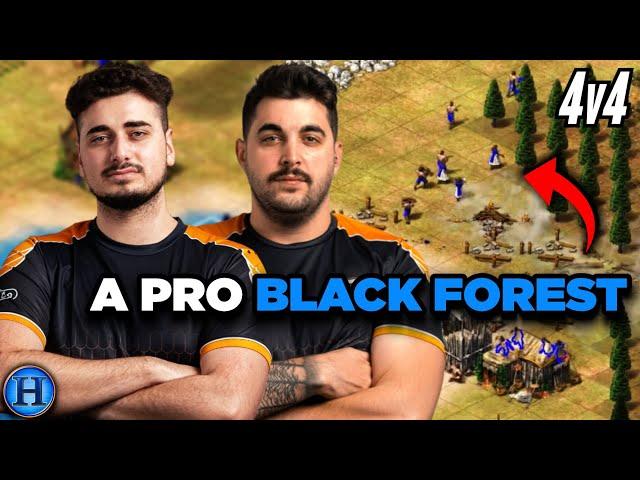 A Pro 4v4 Black Forest Game | AoE2