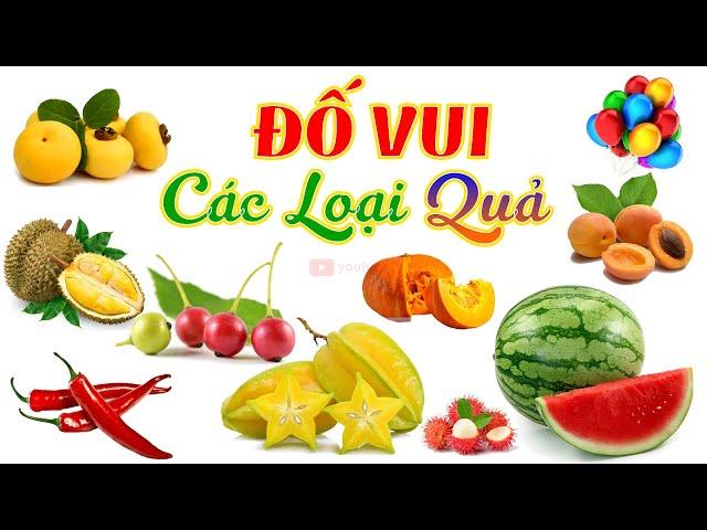 THƠ ĐỐ VUI CÁC LOẠI QUẢ | TRÒ CHƠI ĐỐ VUI QUẢ GÌ | CÂU ĐỐ QUẢ GÌ | SỨA  TV